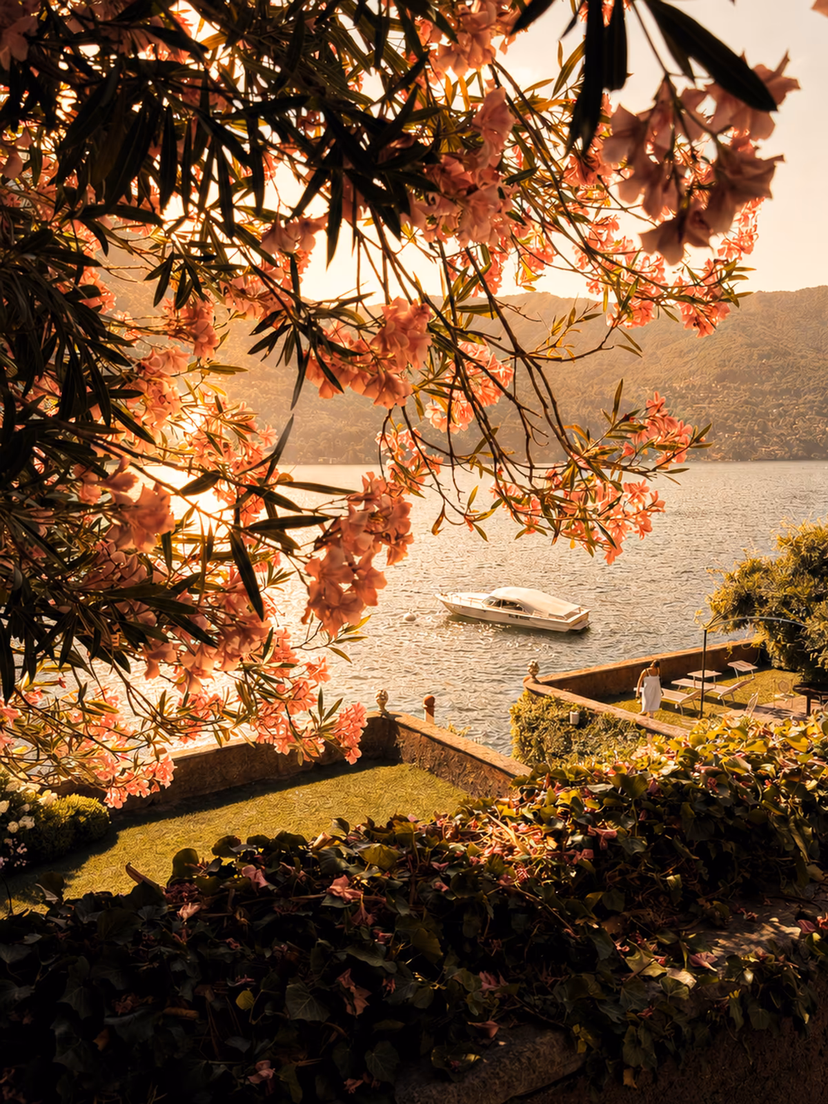 Lake Como framed by flowering branches and terraced gardens
