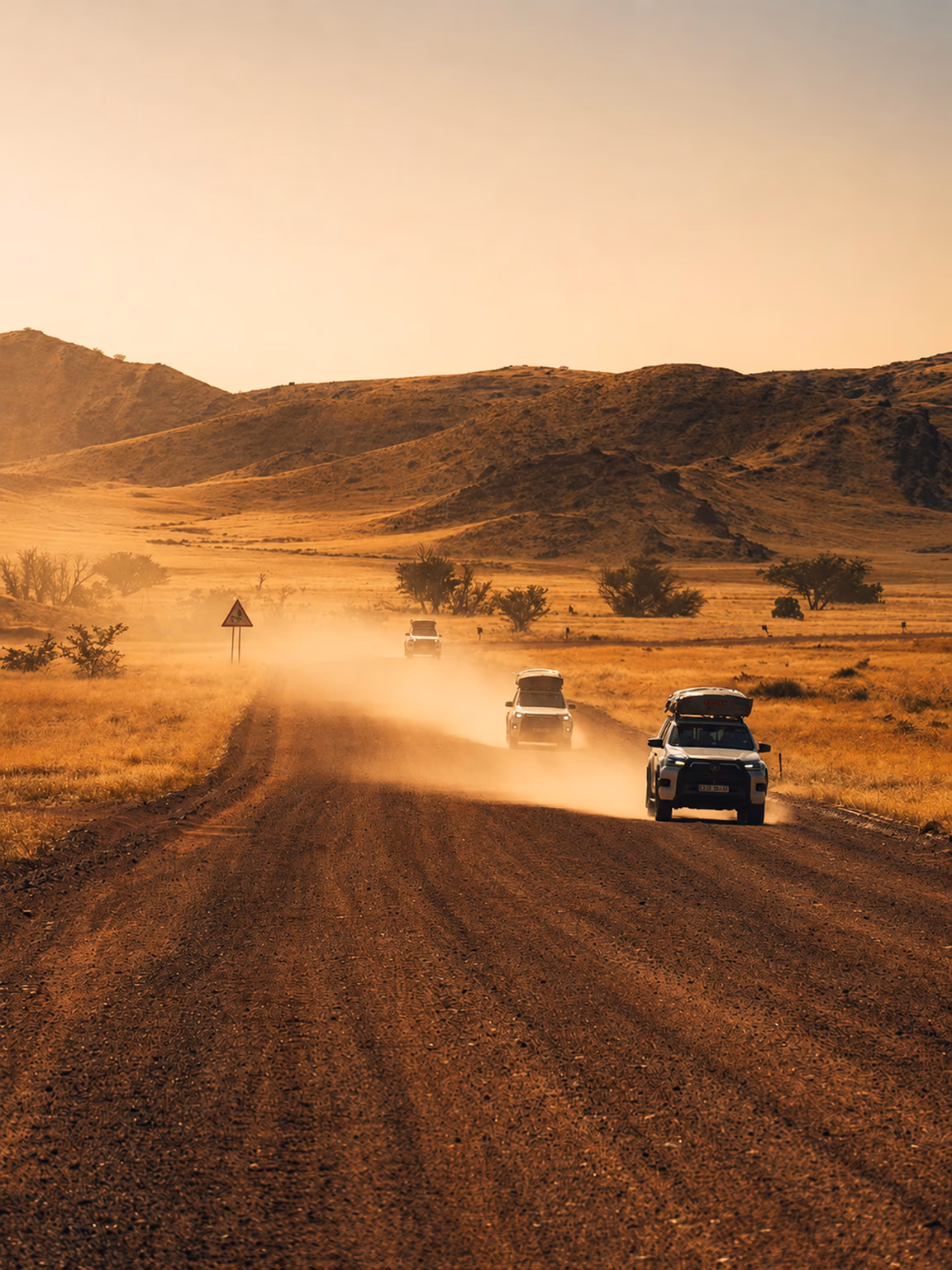 Four vehicles driving through a sunlit Namibian desert landscape
