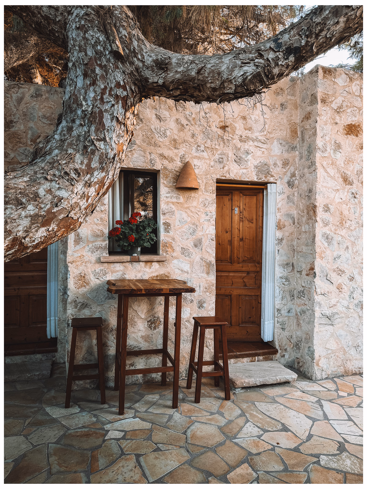 A quiet stone courtyard in Formentera with a leafy tree and blue door