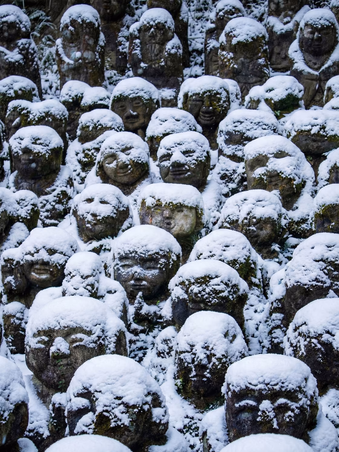 Rows of moss-covered stone figures wearing fresh caps of snow in Kyoto