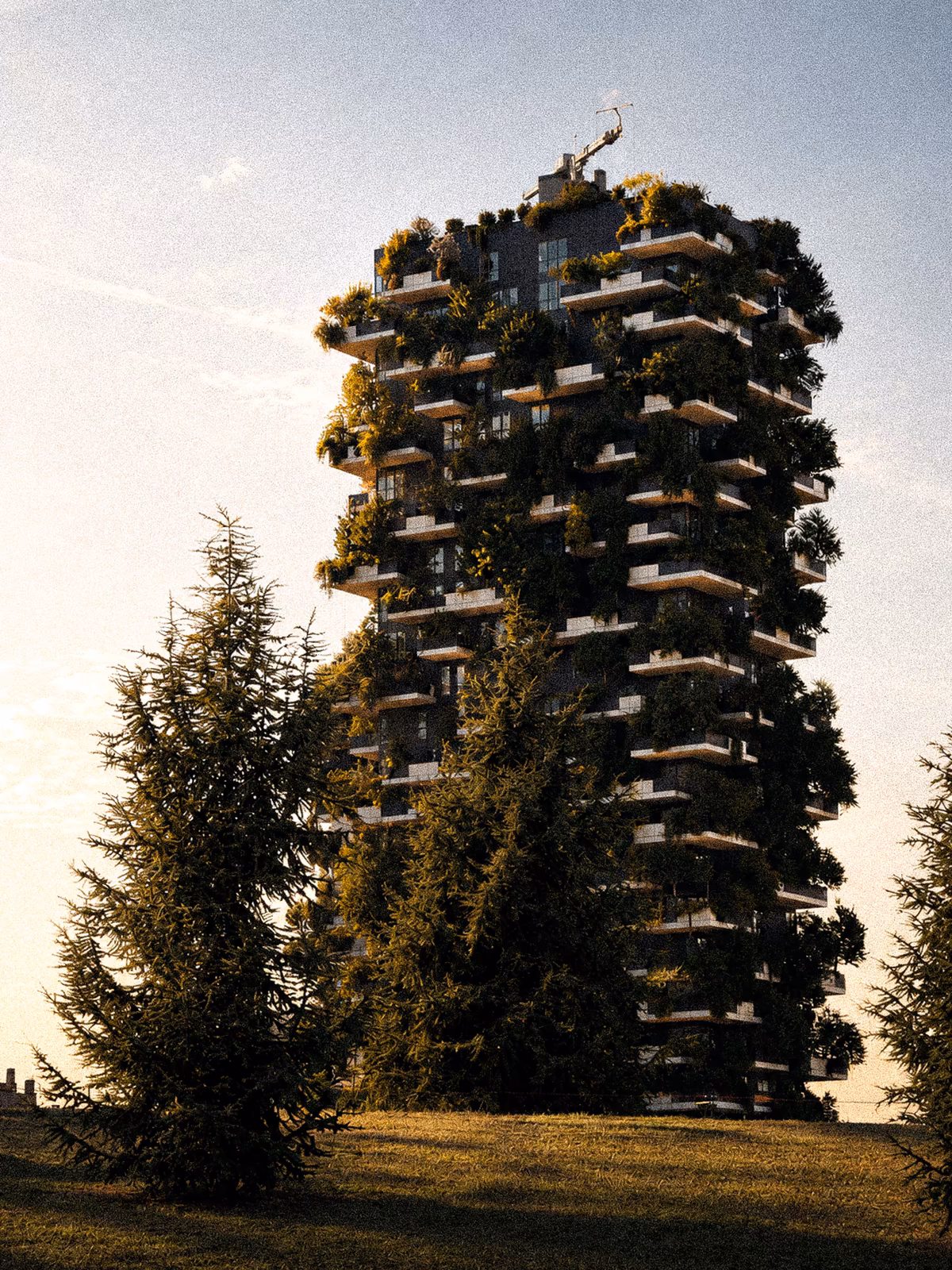 Bosco Verticale framed by trees in late light