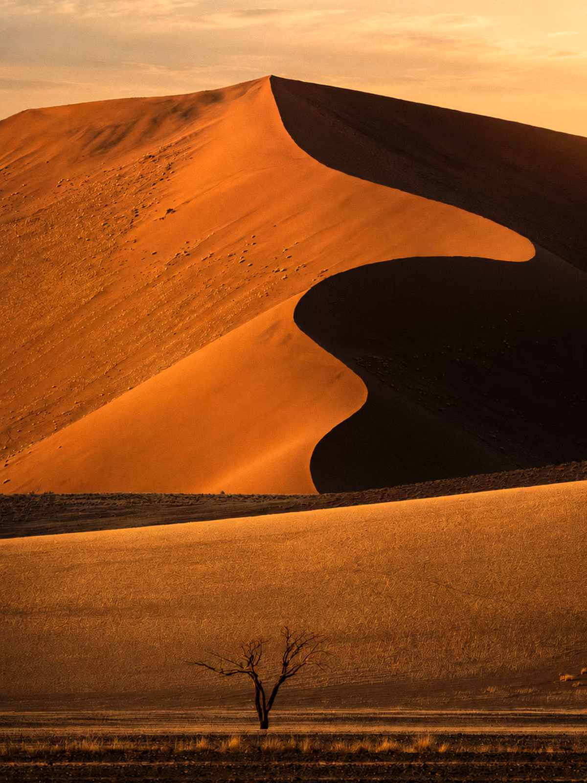 Layered dune forms in Sossusvlei