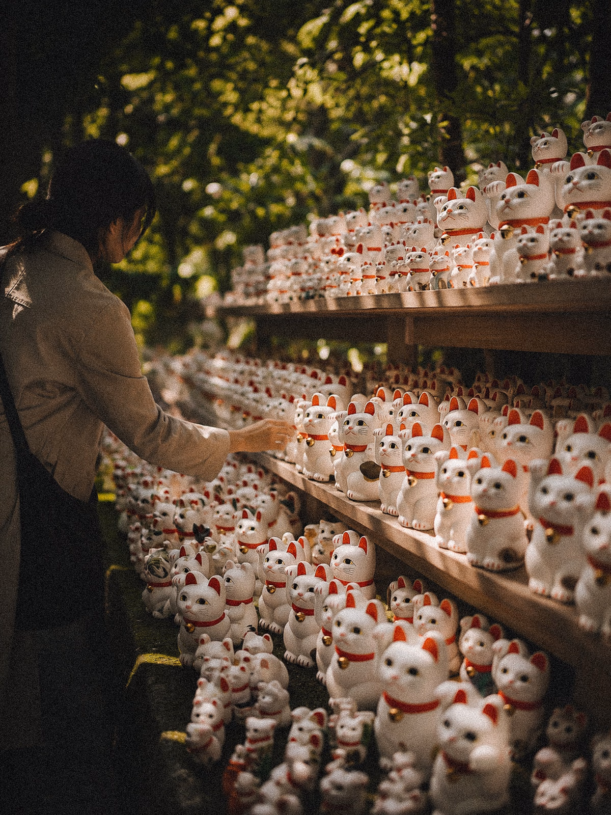Rows of maneki-neko figures in dappled green light with no recognisable face visible
